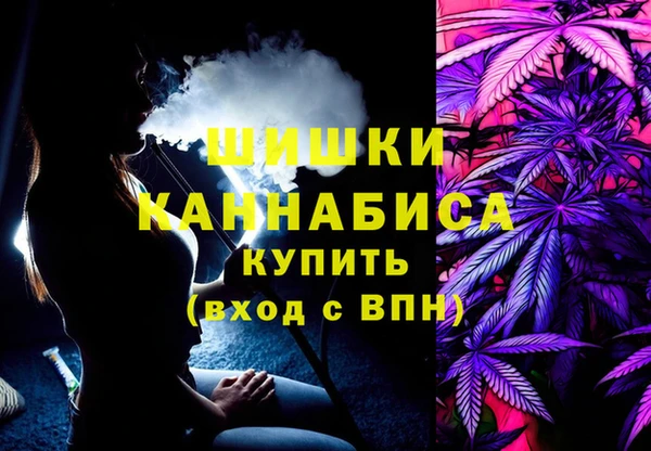 молекула духа Переславль-Залесский