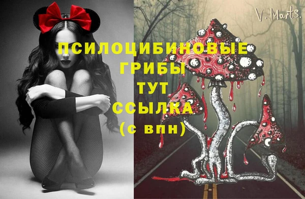 героин Пестово