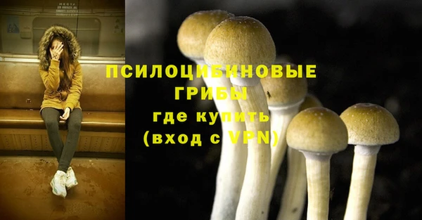 спиды Осинники