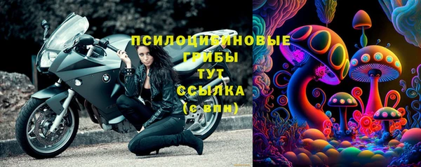 молекула духа Переславль-Залесский