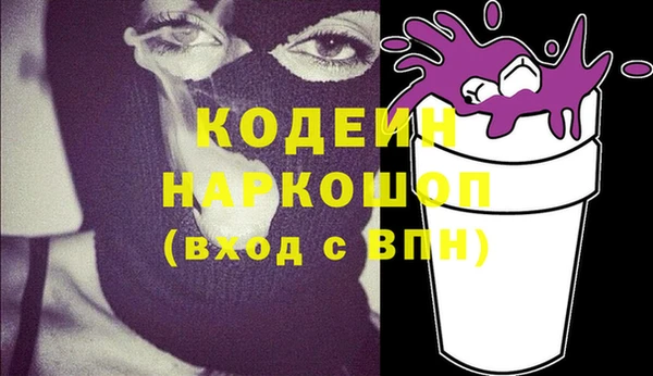 молекула духа Переславль-Залесский