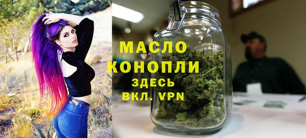 молекула духа Переславль-Залесский