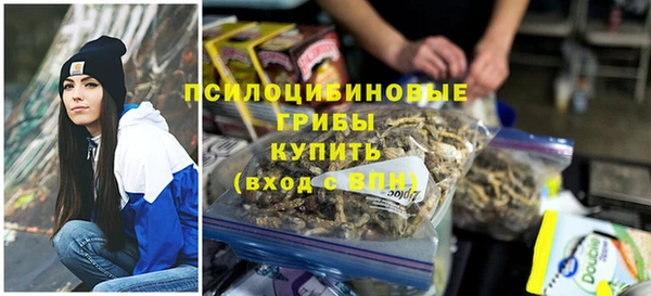 марки nbome Пересвет